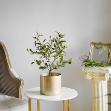 Jardin d'Eden假橄欖樹 60cm, 混色, 1個