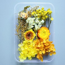 Makemine混合乾花盒DIY柑橘, 混色