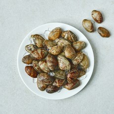 산지직송 부산13번 중매인 바지락 (냉장), 1개, 500g