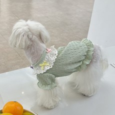 寵物款蕾絲褶皺連身裙, 薄荷