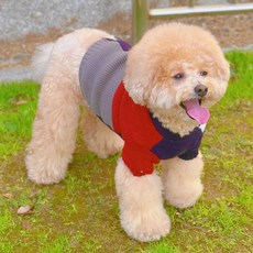 MAAH 狗狗撞色圓領針織衫, 1個, B款