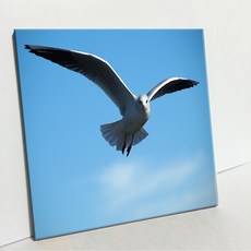 UDP 磁磚畫框 A型 591350, 單一顏色