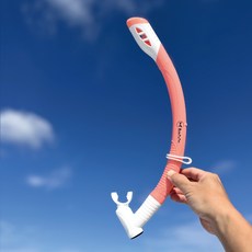 ButterFly Fish 蝴蝶魚 乾濕兩用呼吸管 SN2501 粉色 均碼 成人兒童適用 可拆式