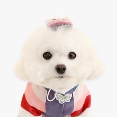 ITS DOG 寵物Ayun Bae Ssagigi韓服, 混色