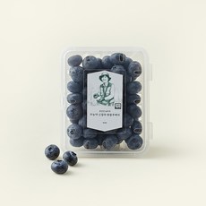 문선진 농부의 무농약 신칠라 왕블루베리, 200g, 1개