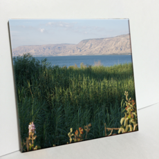 HTP 磁磚 加利利海 C2358