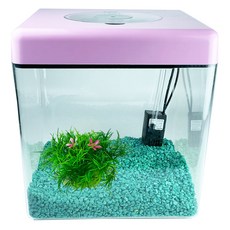 Rora Pet 壓克力方形LED魚缸+彩石+人造水草 2件組 L號, 隨機發貨（魚缸）、翡翠薄荷（石）