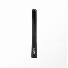 Mini Cooper碳纖維短天線, 碳