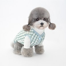 Carno 卡諾 寵物雙面穿背心, 綠色