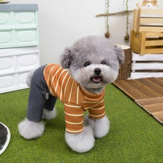 PASTEL PET 寵物高領條紋連身衣, 1個, 棕色