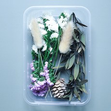 Makemine混合乾花盒DIY葡萄, 混色