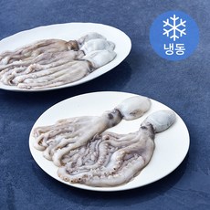 The더착한 손질낙지 내장제거 (냉동), 1개, 2kg(200/300, 8~9미)