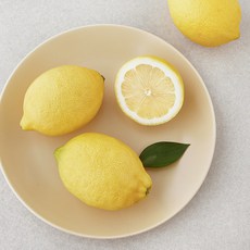 프레시픽 제주산 레몬, 500g, 1개