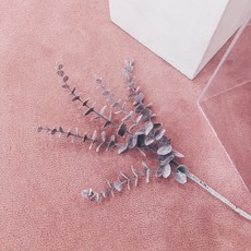 Cojeutu秋季冬季棉質彩色尤加利花乾燥花, 紫色的