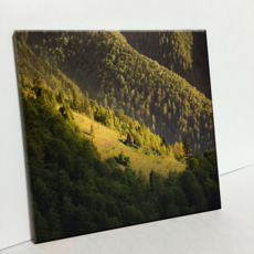 HTP 磁磚 綠色森林 C1902, 1個