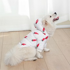 요기쏘 반려동물 당근 패딩, 혼합색상, 1개