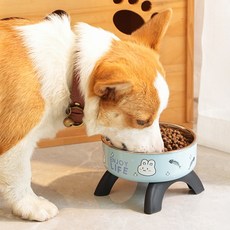 파스텔펫 반려동물 스테인리스 식기 밥그릇 14.5 x 14.5 x 8.5 cm, 블루, 1개