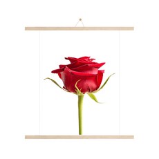 인테리어 장미F 포스터 + 족자 + 끈 랜덤발송, 베이지우드