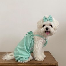 Bonjour Toutou 狗狗泡泡紗嬰兒連身衣, 薄荷, 1個