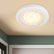 원하 EL 아크릴 원형 방습형 플리커프리 직부등 LED 20W, 전구색, 1개