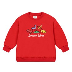 nykids 兒童恐龍世界寬鬆版大學T恤 W127
