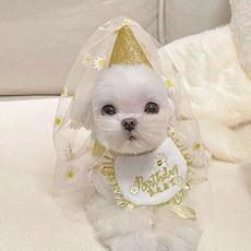 REDPUPPY Lovely 快樂派對帽套組, 快樂, 1個