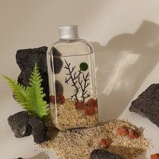 3MENBASKET 海洋瓶 海藻球培植 DIY 套組 濟州主題, 1套