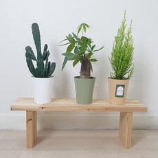 Reb原木花盆整理架 大, 自然（大）