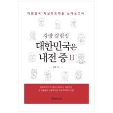 大韓民國正處於內戰中 2： 康亮專欄集, 康亮, Enlighten