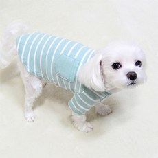 도기코디 줄무늬 포켓티, 민트, 1개