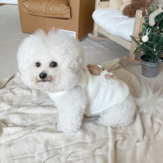 BYDAMSOOMI 小狗熊溫森·赫恩斯背心, 象牙