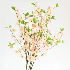 櫻花枝, 粉紅色, 1個