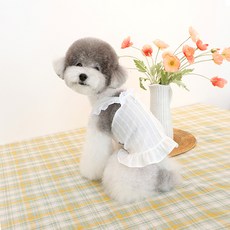 이츠독 반려동물 리엘 뷔스티에 원피스, 화이트, 1개