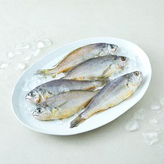 제주어가 생물 참조기 4~6마리 (냉장), 1개, 500g