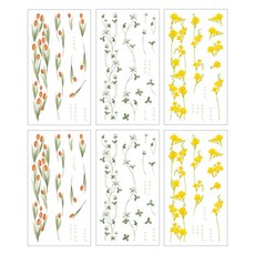 花間插花貼紙 芒果鬱金香 + 三葉草 + 小蒼蘭組合, 2套