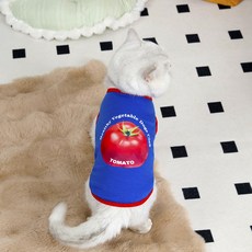 Coco studio 寵物春夏健康日常背心, 藍色番茄, 1個