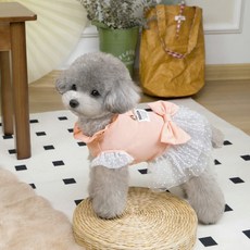 Lanboer 寵物圓點蕾絲洋裝, 珊瑚色, 1個