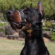 요런개 강아지 목줄 연결 가능 입마개 M, 02 카키, 1개