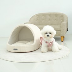 점프 쉘 동글이 쿠션 하우스, 파스텔옐로우, 1개