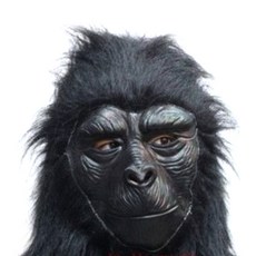 萬聖節可怕面具, 黑猩猩, 1個