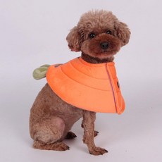 Dingdong Pet 狗狗可愛伊莉頸圈, 1個, 橘色
