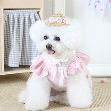 에이미러브즈펫 반려동물 JJ 데이지 밀짚모자, 핑크, 1개