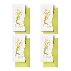 索西米花祝賀信錢信封, 綠色, 4個