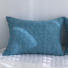 Palm Decor 枕套