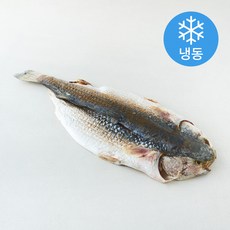 살맛나요 반건조 숭어 (냉동), 1개, 900g(특대)