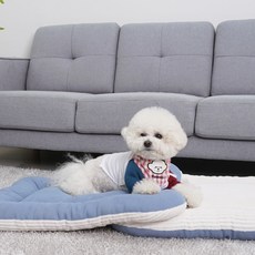 개과천선 강아지 골덴 뽀송쿠션, 밀크블루, 1개