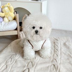 bydamsoomi 寵物兔兔鋪棉背心, 棕色