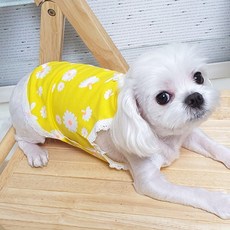 도기코디 반려견 데이지 런닝 나시, 옐로우, 1개