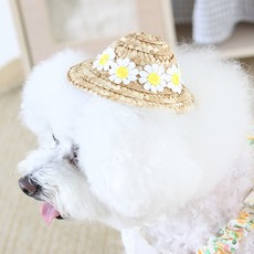 Amy Loves Pet 寵物 JJ 雛菊草帽, 黃色