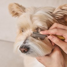 likalika 狗狗 Sensible 臉部梳 10.5 cm, 1個, 檸檬